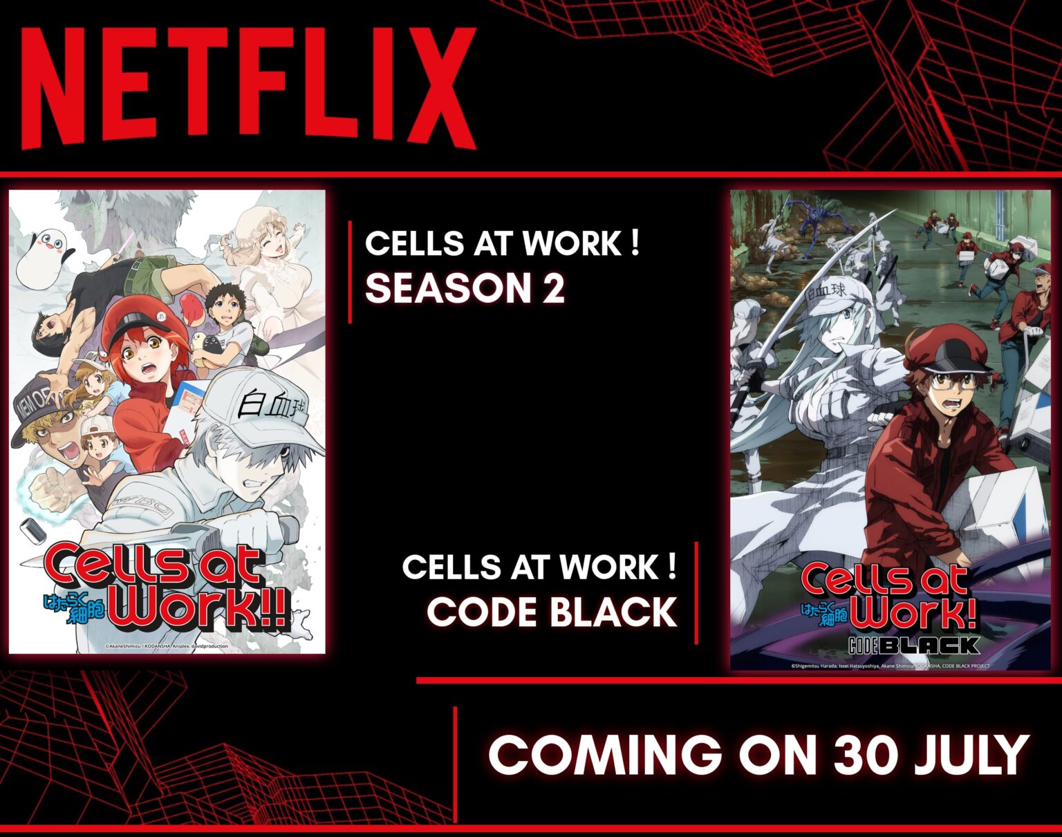 Netflix India to Stream Cells at work! season 2 & Cells at work! Code